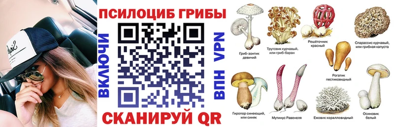 hydra   Сычёвка  Псилоцибиновые грибы мицелий  площадка официальный сайт  закладки 